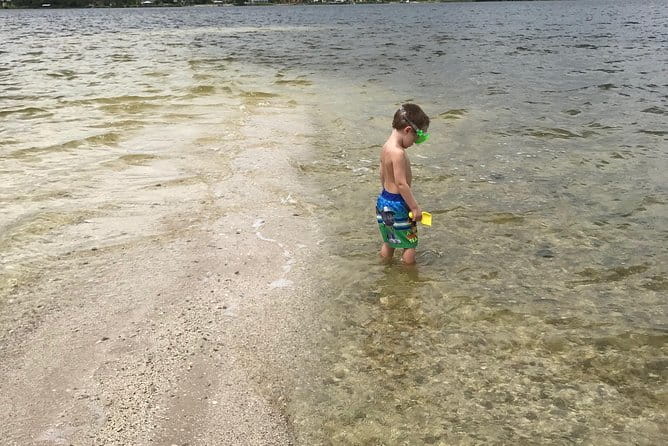 Brevard County Tours, dolphin and manatee tours in Palm Bay, FL - The Value of the Experience
