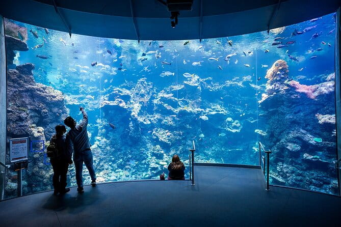 California Academy of Sciences General Admission Ticket - Practical Tips for Visiting