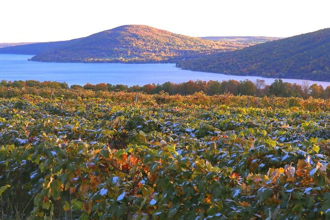 Canandaigua Wine Trail Experience - The Authenticity of the Experience