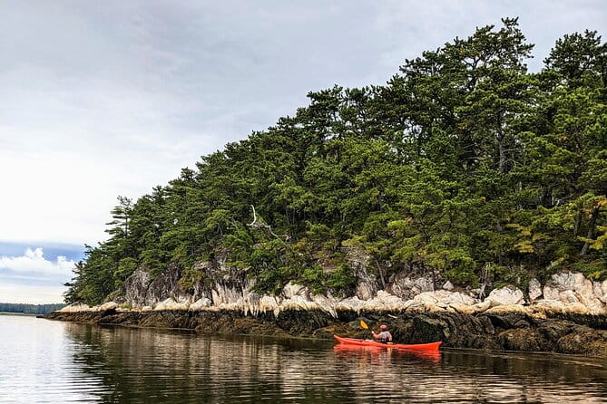Casco Bay Half-Day Sea Kayak Tour - Practical Details and What to Expect
