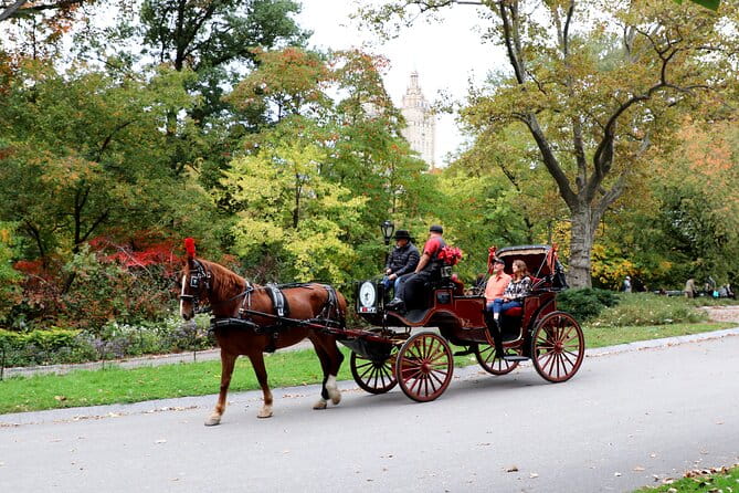 Central Park Carriage Ride w/ Drop Off @ Tavern On Green (45 min) - What to Expect from the Experience