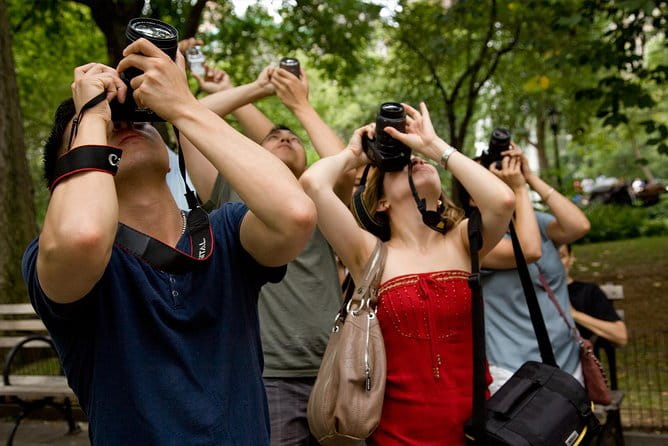 Central Park Photography Tour with Local Photographer - What You’ll See and Learn