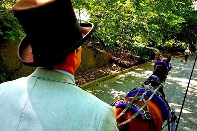 Central Park Private Horse and Carriage Tour - Who Will Get the Most from This Experience?