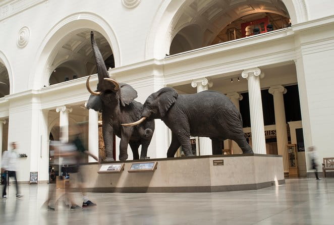 Chicago CityPASS® - A Closer Look at the Attractions