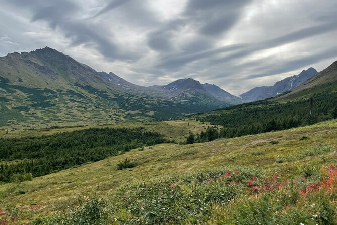 Chugach State Park Nature Walk - A Closer Look at the Chugach State Park Nature Walk