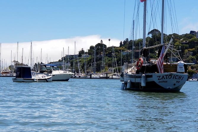 Combo Small-Group Tour: SF City plus Muir Woods & Sausalito - Who This Tour Is Best For