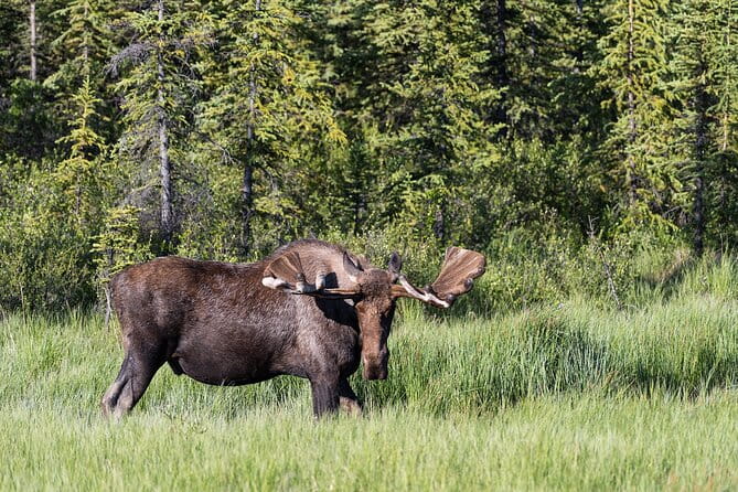 Denali Photo Excursion - Transportation and Group Size