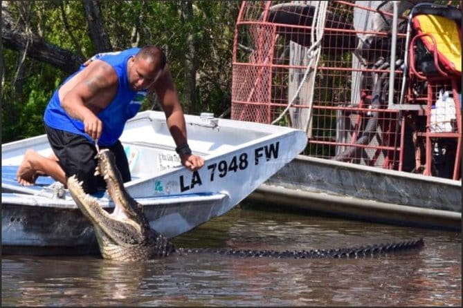 Destrehan Plantation and Large Airboat Tour from New Orleans - Authentic Reviews and Perspectives