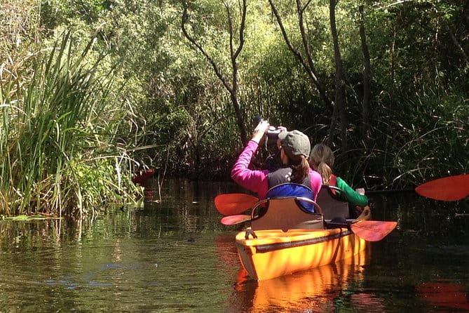 Everglades Kayak Safari Adventure Through Mangrove Tunnels - The Value of the Experience — Is It Worth ?