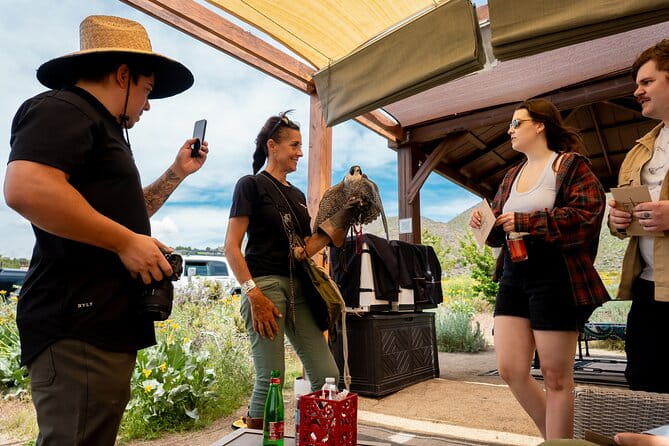 Experience Raptors and Falconry in Reno - Frequently Asked Questions