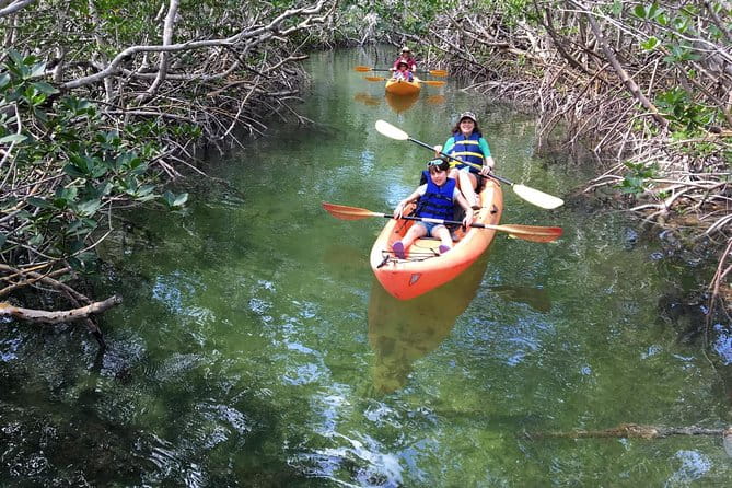 Explore Mangrove Creeks with an All Day SUP/single kayak Rental - Accessibility and Physical Requirements