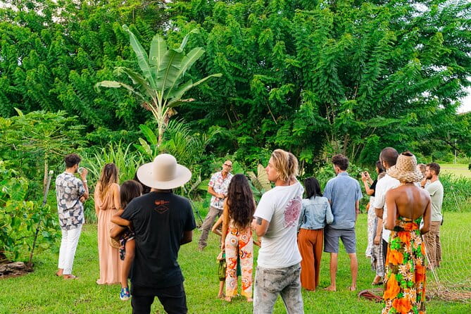 Farm and Food Experience in Kilauea - The Meal and the Setting