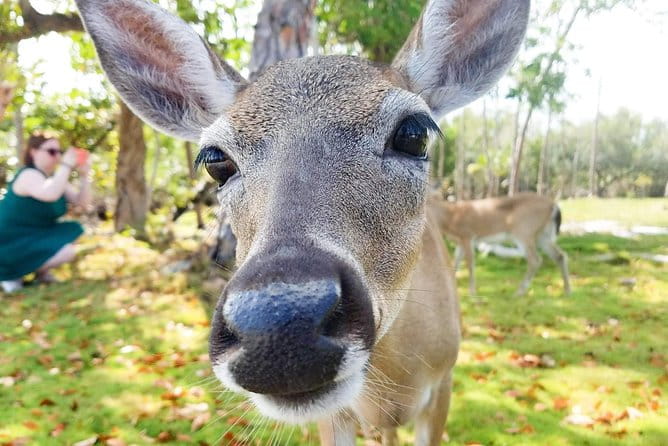 Florida Keys Nature & History Tour from Key West - Bahia Honda State Park: Nature’s Crown Jewel