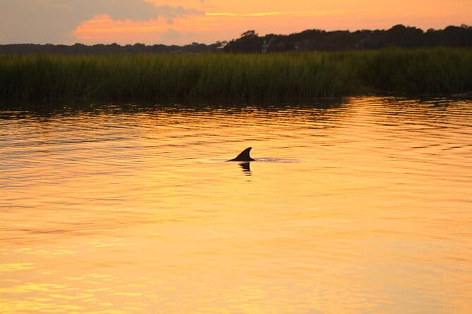 Folly Beach Dolphin Viewing Boat Excursion and Estuary Tour - Practical Tips for Travelers