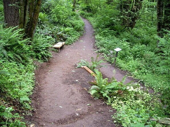 Forest Park Urban Hiking Tour, Portland - Who Should Consider This Tour?