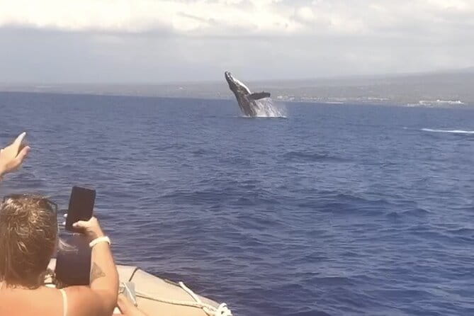 From Maalaea Harbor: Whale Watching Tours Aboard Winona Catamaran - Final Thoughts: Is It Worth It?