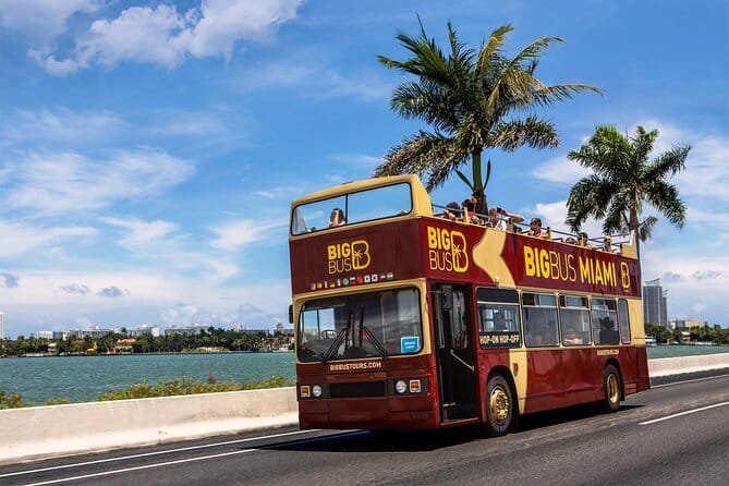 From Miami: Open-Top Bus Tour, Bay Cruise, & Everglades Adventure - Final Thoughts: Is This Tour Worth It?