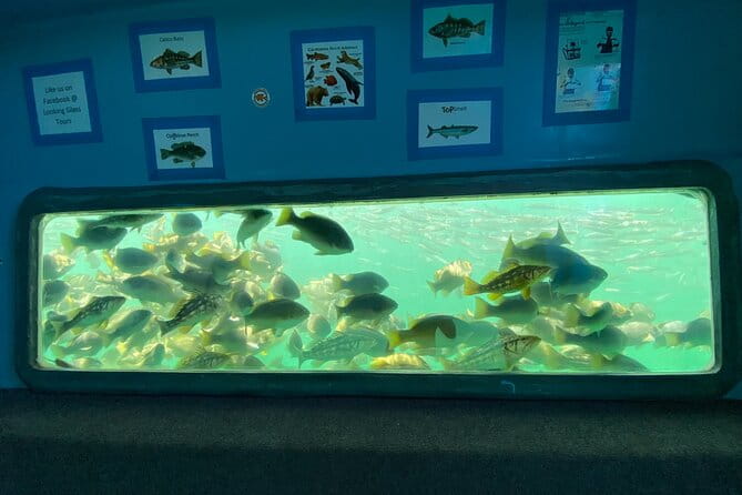 Glass Bottom Boat Ride in Redondo Beach - Practical Details