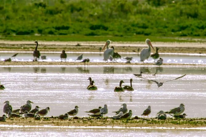 Great Salt Lake Guided Bus Tour from Salt Lake City - FAQs