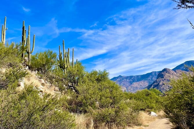 Guided 2 Hour Horseback Ride Catalina State Park Coronado Forest - Authentic Experiences and Honest Feedback
