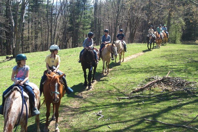 Guided Horseback Ride through Flame Azalea and Fern Forest - Final Thoughts