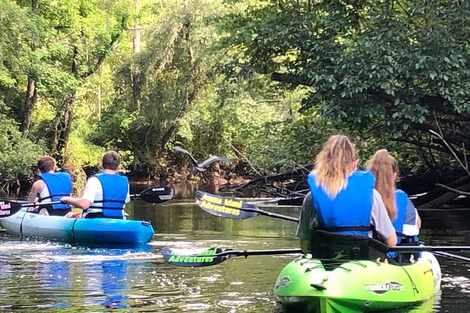 Guided Kayak Eco Tour: Real Florida Adventure - The Sum Up: A Worthwhile Way to Connect with Nature