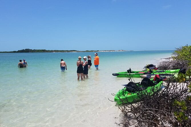 Guided Kayak EcoTour of Beautiful Shell Key Preserve - Authentic Experiences Highlighted by Reviewers