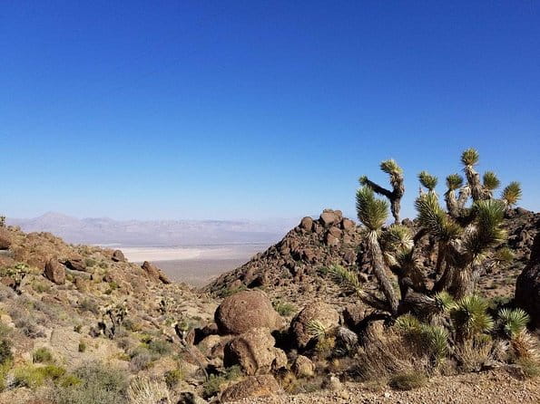 Guided or Self-Guided Road Bike Tour of Red Rock Canyon - A Closer Look at the Tour Experience