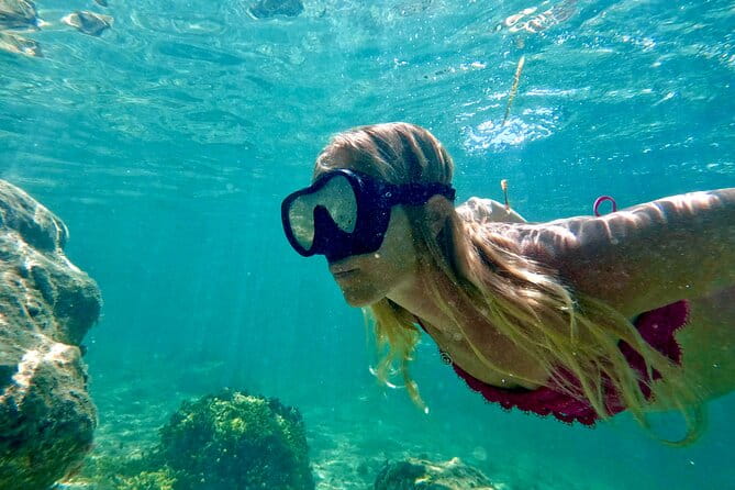Guided Snorkel Experience, Free Videos in West Palm Beach - The Guides and Their Impact