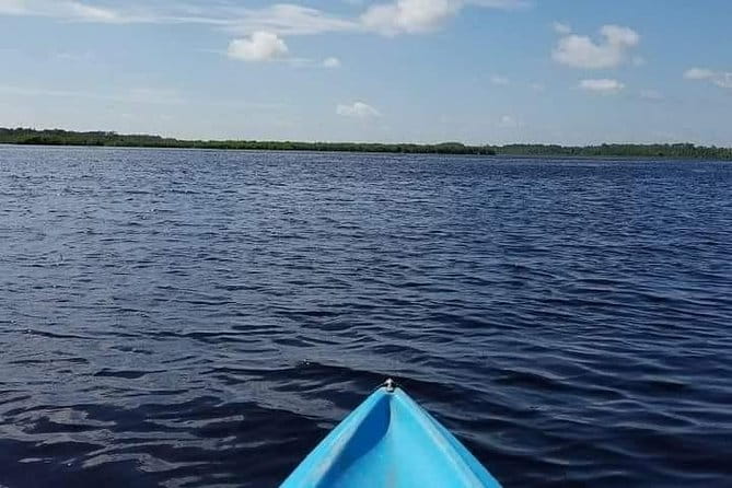 Guided Wildlife Eco Kayak Tour in New Smyrna Beach - The Sum Up
