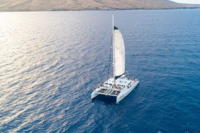 Half-Day Deluxe Molokini Snorkel Excursion in Maui - The Value of the Price
