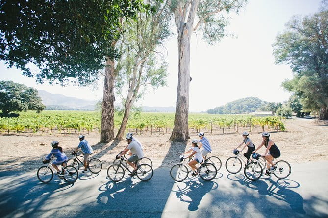 Half-Day Napa Valley E-Bike Tour - What’s Included and What’s Not