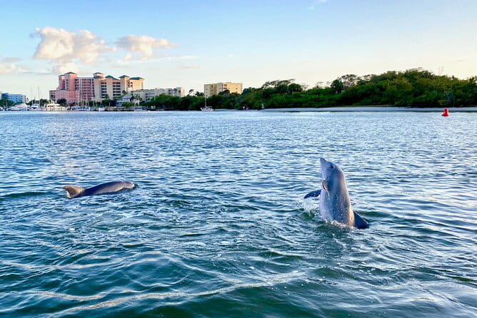 Half-Day Private Tiki Boat Beach Tour from Fort Myers - What is the Tiki Boat Beach Tour from Fort Myers?