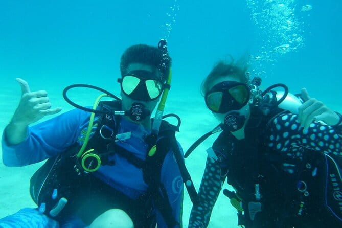 Half Day Scuba Diving Trip in the Florida Keys - Equipment, Cost, and Practicalities
