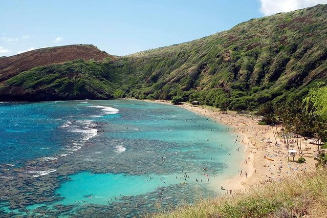 Hanauma Bay Snorkeling - Who Should Book This Tour?