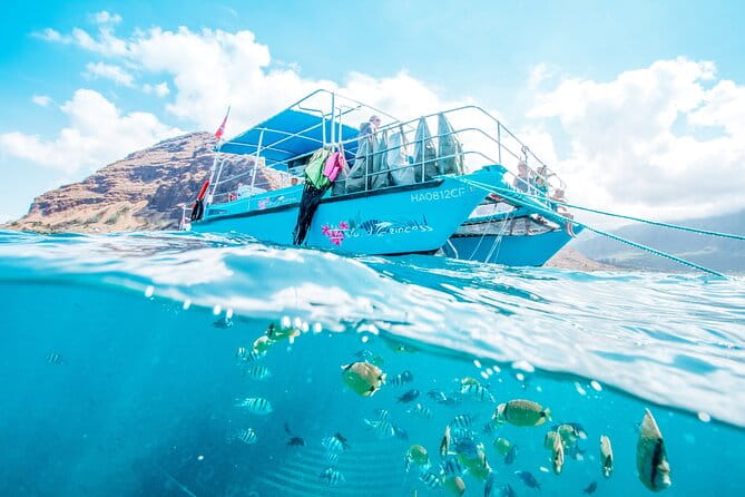 Hawaii Snorkeling with Turtles Boat Tour in Waikiki - The Sum Up: Why This Tour Is a Good Investment