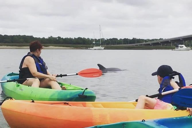Hilton Head Guided Kayak Eco Tour - What the Itinerary Looks Like