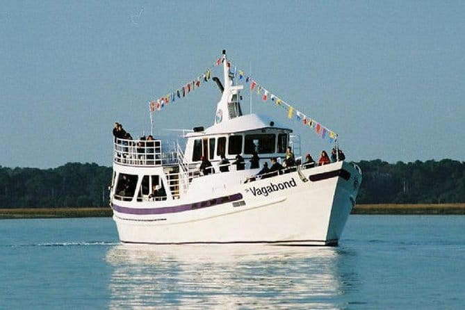 Hilton Head Island Dolphin Watching Nature Cruise - Authentic Experiences and Honest Insights