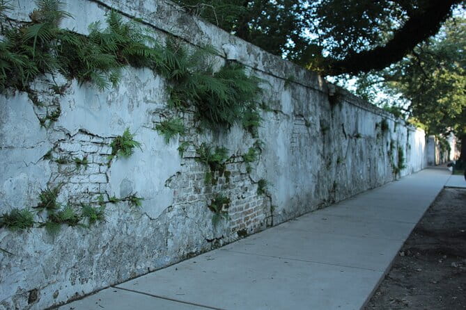 Historic Garden District Walking Tour - Who Will Love This Tour?