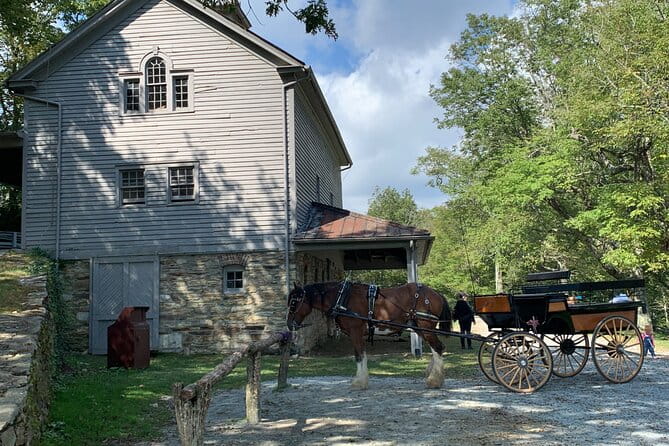 Horse and Carriage Ride through Moses H. Cone Park - Practical Details and Tips