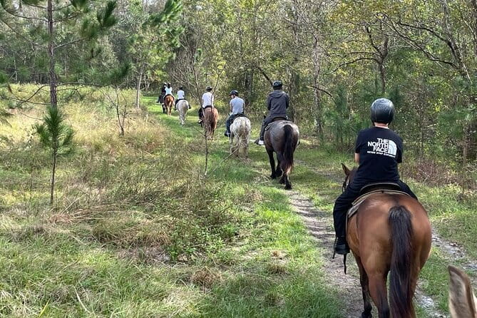 Horseback Ride on Scenic Lake Louisa Trails - The Horses and Safety