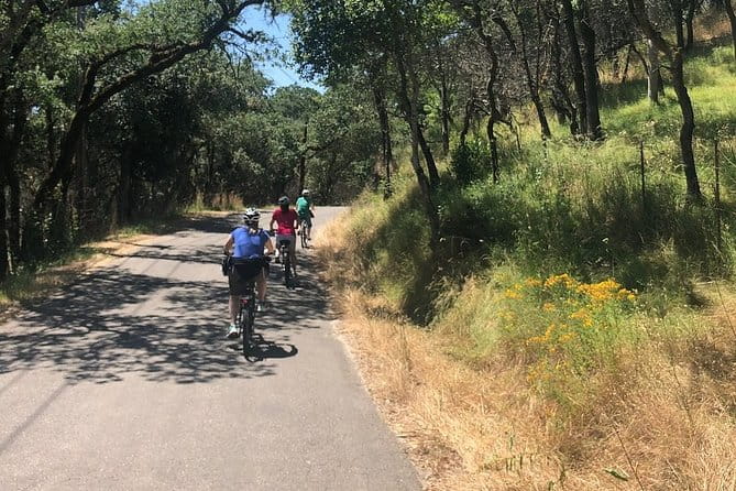 Independent Hassle-free Bike Rental in Sonoma - Practical Considerations