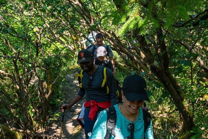 Juneau Shore Excursion: Mendenhall Glacier Guided Hike - Authentic Reviews and Perspectives
