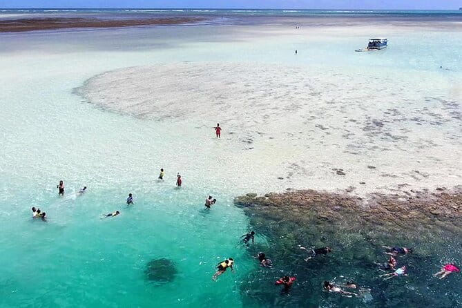Kaneohe Sandbar Snorkeling Tour - 1st Tour - The Value and Booking Details
