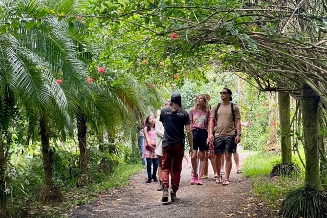 Kauai Chocolate Farm Tasting Tour - The Itinerary: A Step-by-Step Look at the Tour Experience