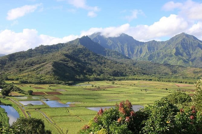 Kauai: Hawaii Movie Tour - What You Can Expect from the Experience