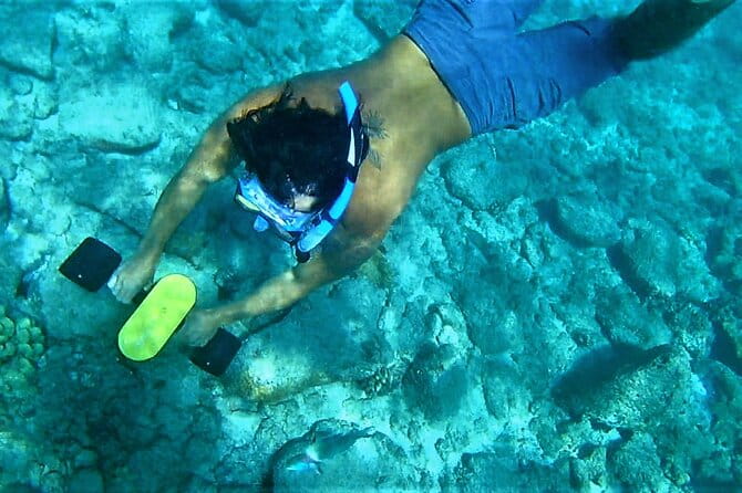 Kauai Snorkeling Adventure - What to Expect on the Water