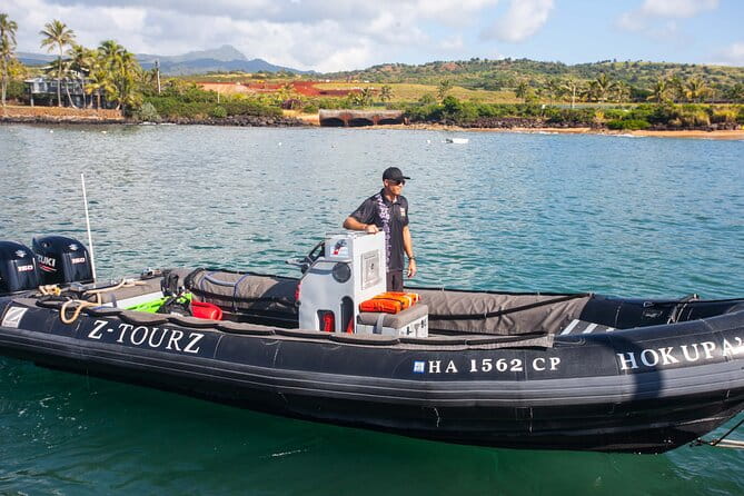 Kauai's Ultimate South Side Whale & Dolphin Zodiac Boat Adventure - The Sum Up: Why This Tour Is a Solid Choice for Adventurous Travelers