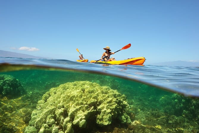 Kayak and Snorkel: Maui West Shore - The Value of the Experience