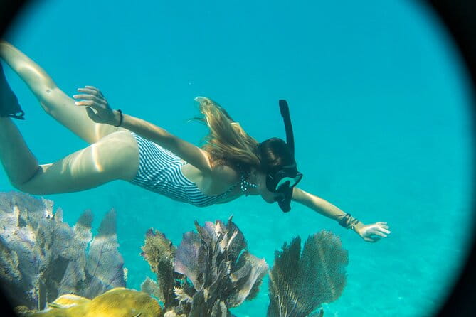 Kayak + Guided Snorkel & Morning Sail hosted by Honest Eco - The Value of the Experience